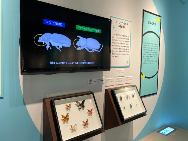 国立科学博物館】特別展「昆虫 MANIAC」内覧会レポート | 上野が