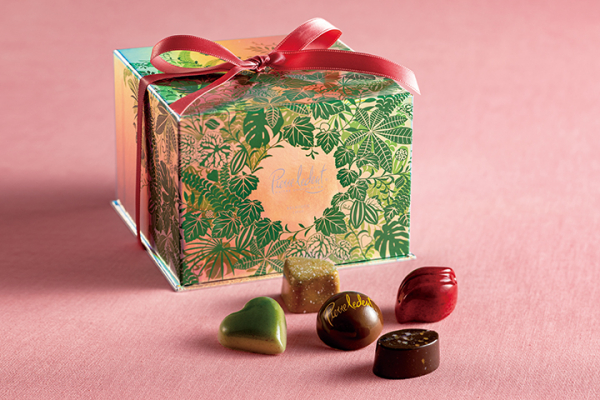 プラスメイト plusmate 榊木庵 ポストカード プラスメイト