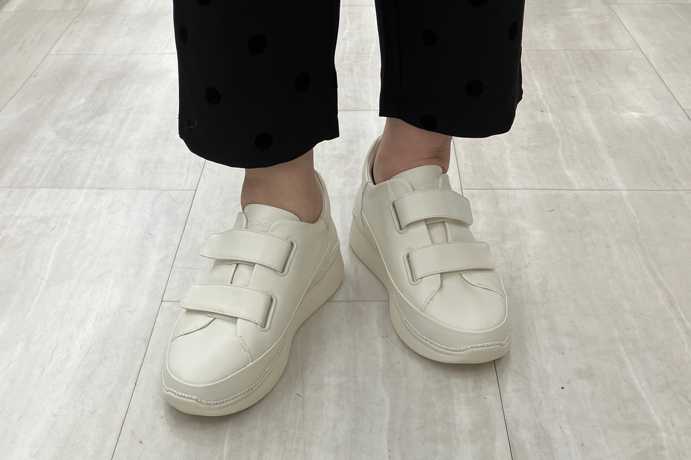 モーダクレア＞ マッキントッシュ フィロソフィー MACKINTOSH