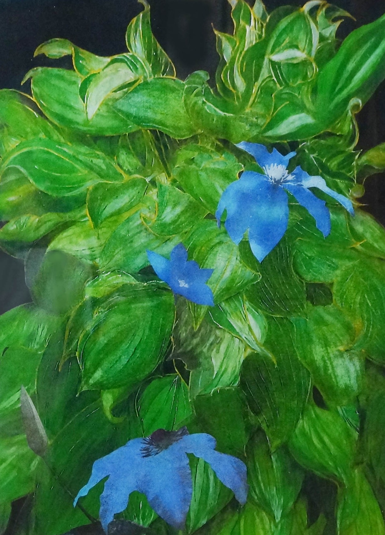 画像
