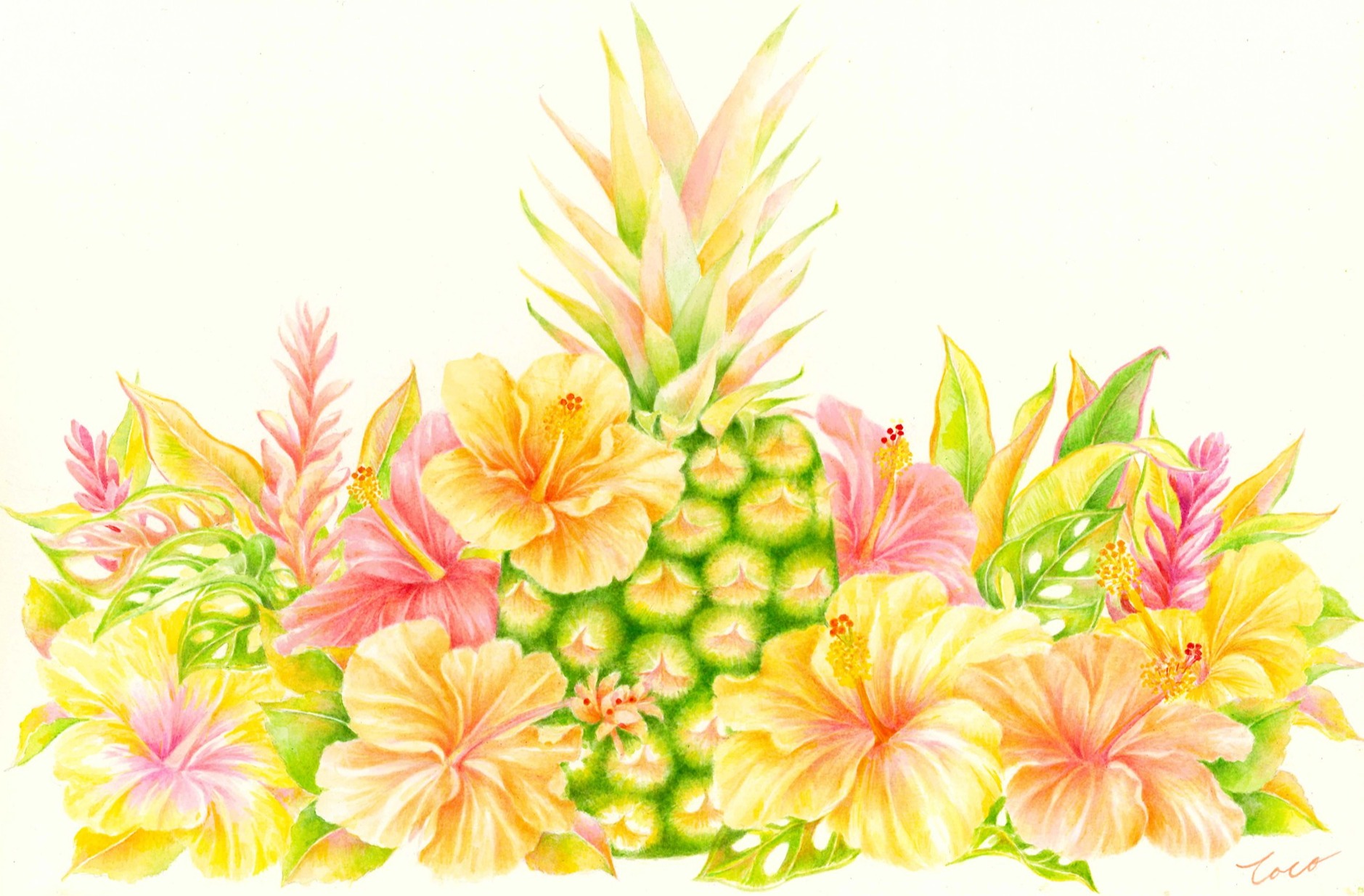 画像