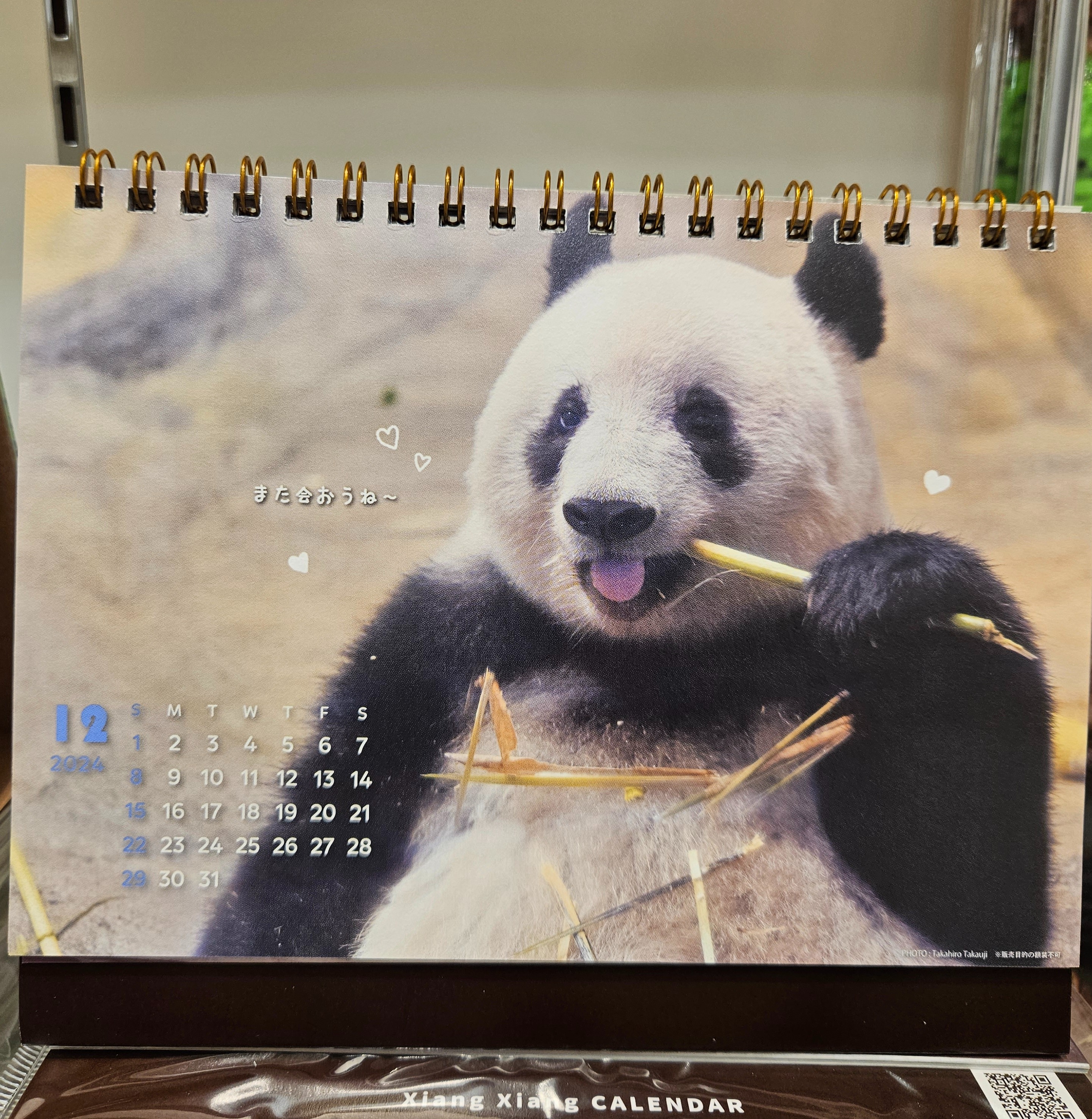 パンダカレンダー🐼第一弾 | 文具・事務用品 TOPICS | 松坂屋